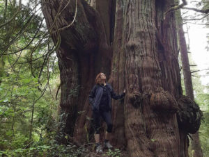 Kelly Richardson by an ancient redcedar in the unprotected Jurassic Grove between Jordan River and Port Renfrew.
Ken Wu, Ancient Forest Alliance