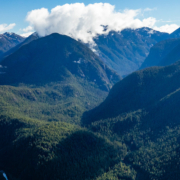 1-Aerial-McKelvie-Valley-TJ-Watt-LARGE An aerial view of the intact McKelvie Valley near Tahsis
