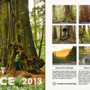 2013_Calendar_full Front and back of the AFA 2013 calendar.