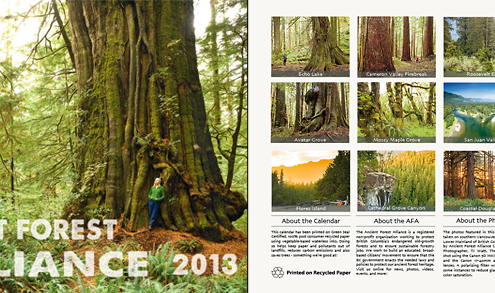 Front and back of the AFA 2013 calendar.