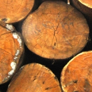 24H_McLaughlin_large