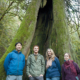 Photo attached (media are free to reprint): From left to right - AFA Executive Director Ken Wu; Campaigner and Photographer TJ Watt; Admin Director Joan Varley; Researcher and Writer Hannah Carpendale. Taken at hollow old-growth cedar at Goldstream.