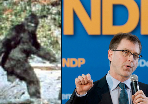 “The NDP’s environment platform is like a blurry moving sasquatch video in regards to potential old-growth forest protections and park creation – you can’t discern if it’s real and significant