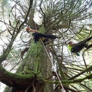 AgassizObserver-EchoLake_large