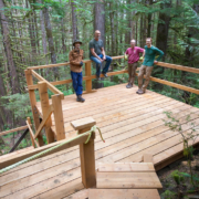 New entrance at the Lower Avatar Grove.