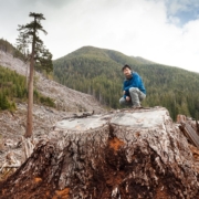 Big_Lonely_Doug_Clearcut_large