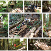 Boardwalk-collage-2014