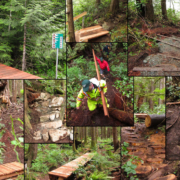 A collage of images featuring various sections of the Avatar Grove boardwalk completed over the May Long Weekend.