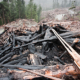 Old-growth logging on Vancouver Island