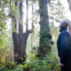 Port Renfrew Chamber of Commerce President Dan Hager stands before the Emerald Giant in the Central Walbran Valley.