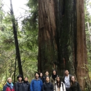 ChineseTourOct2016_large