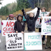 Some youngsters joined the protest against Island Timberlands logging operations on Cortes Island this week.
