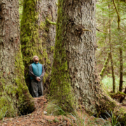 Cortes_Island_Old_Growth-141