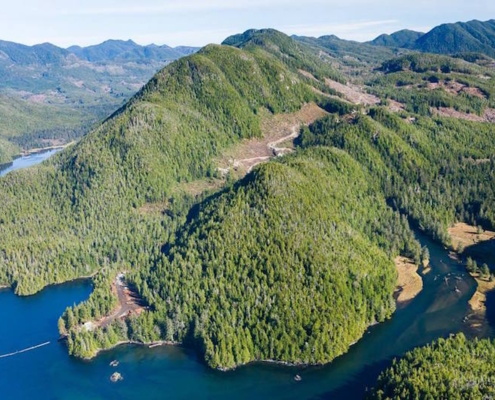 Aerial photo of East Creek logging in 2015