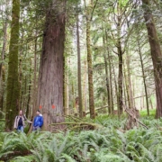 Echo-Lake-June-2016-19_large