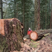Ancient Forest Alliance Campaigner & Photographer