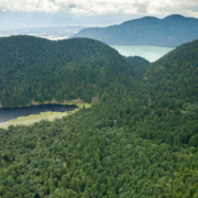Echo Lake and surrounding old growth forests. Echo Lake and the surrounding ancient forests.