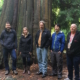 From left to right: Jens Wieting (Sierra Club of BC); Andrea Inness (AFA); Dan Hager (Port Renfrew Chamber of Commerce); Ken Wu (AFA); and Arnold Bercov (Public and Private Workers of Canada) by an old-growth redcedar tree in Stanley Park.