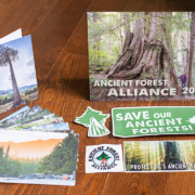 GP_large Photo: Ancient Forest Giftpack (calendar