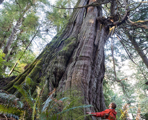AFA's Campaigner and Photographer