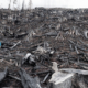 A photo of a burnt Vancouver Island clearcut - where an old-growth temperate rainforest once stood - has been chosen for exhibition in the international photography competition