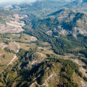 Klanawa-Logging Tree Farm Licence 44