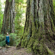 Ancient Forest Alliance campaigner Hannah Carpendale stands amongst giant old-growth Douglas-firs alongside the Koksilah River. These lands could be at risk of being logged by the pension funds.