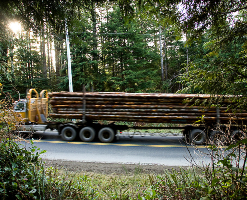 Much of Vancouver Island's second-growth forest is being logged quickly and shipped out of BC as raw logs instead of being processed and manufactured at local mills.