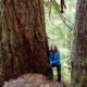 Jane Morden by an Ancient Douglas-fir in the McLaughlin Ridge