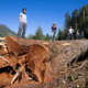 The AFA's Ken Wu and local Port Alberni conservationists stand atop Canada's 9th-widest Douglas-fir tree