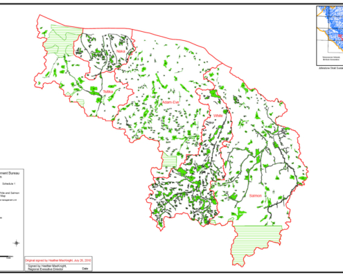 Overview map of new old-growth management areas recently created on the central and north coast of Vancouver Island.