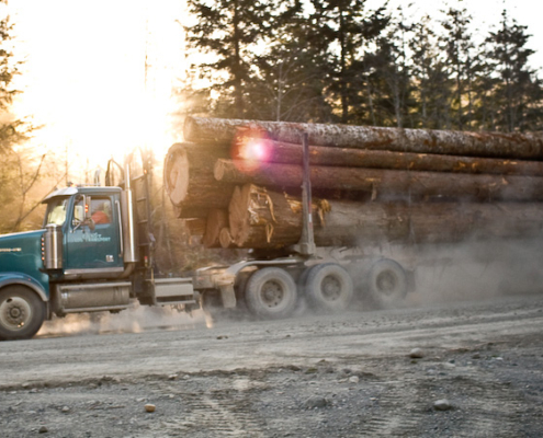 Old-growth logs head out of the the Gordon River Valley near Lake Cowichan on Vancouver Island