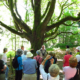 All-star naturalists Darren and Claudia Copley chatting with folks at the the giant bigleaf maple tree near the start of last year's walk at Royal Roads University.