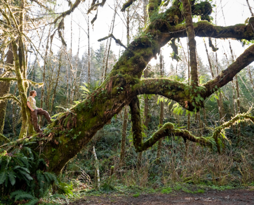 Photographer TJ Watt stands on the back of a giant dinosaur shaped old-growth Maple tree alongside the San Juan river