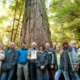 MLA Scott Fraser receiving his award at Cathedral Grove alongside the Ancient Forest Alliance and many other important local supporters!