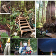 Sept-Boardwalk-2014-web