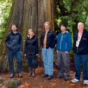 Sing-Tao-Photo-James-Fung-LARGE From left to right: Jens Wieting (Sierra Club of BC); Andrea Inness (AFA); Dan Hager (Port Renfrew Chamber of Commerce); Ken Wu (AFA); and Arnold Bercov (Public and Private Workers of Canada) by an old-growth redcedar tree in Stanley Park.