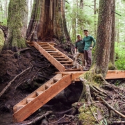 Sooke-News-Mirror-Av-Board-Big