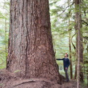 TJ-Doug-fir-Large Ancient Forest Alliance campaigner TJ Watt next to Canada's 9th-widest Douglas-fir tree