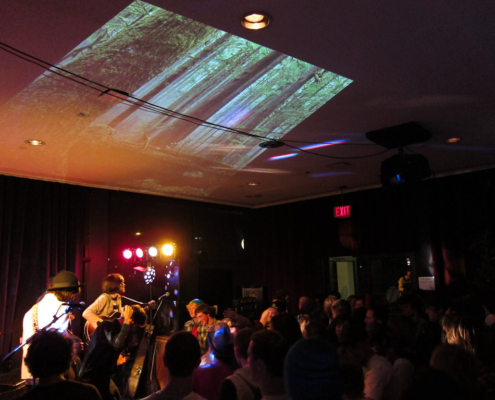 A shot from the 2011 Tree Huggers Ball!