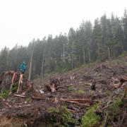 VanSun_JackieWalbran_large