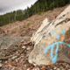 Loggers painted a sad face with its tongue sticking out making a mockery of the old-growth devastation in the background. Upper Walbran Valley