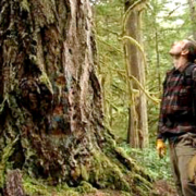 cortes Cortes Island resident Fred Savage next to a 400-year old Douglas fir