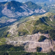 Old-growth clearcutting in the Klanawa Valley on Vancouver Island