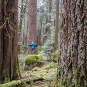 echo-lake-big-tree-hug
