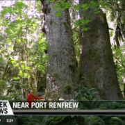 CHECK News Mossome Grove