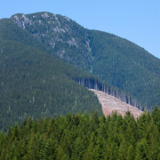 Gordon-River-Bridge-4-After-Web