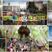 2020-10-Year-Collage-2-1500px