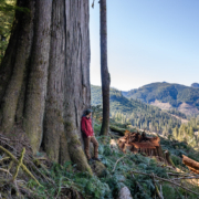 Caycuse-Watershed-April-2020-43