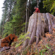 Port Renfrew: Granite Creek Logging